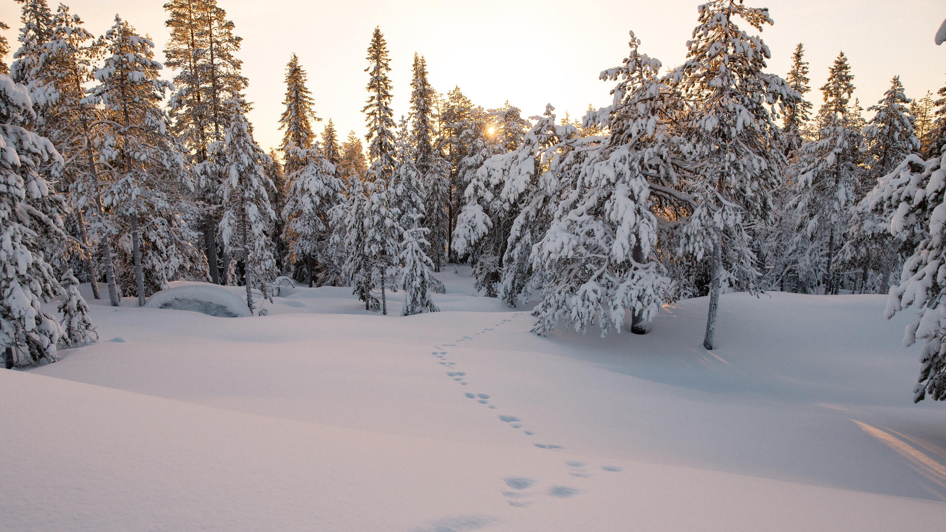 7 Ways to Have Fun With the Snow | Only in Lapland