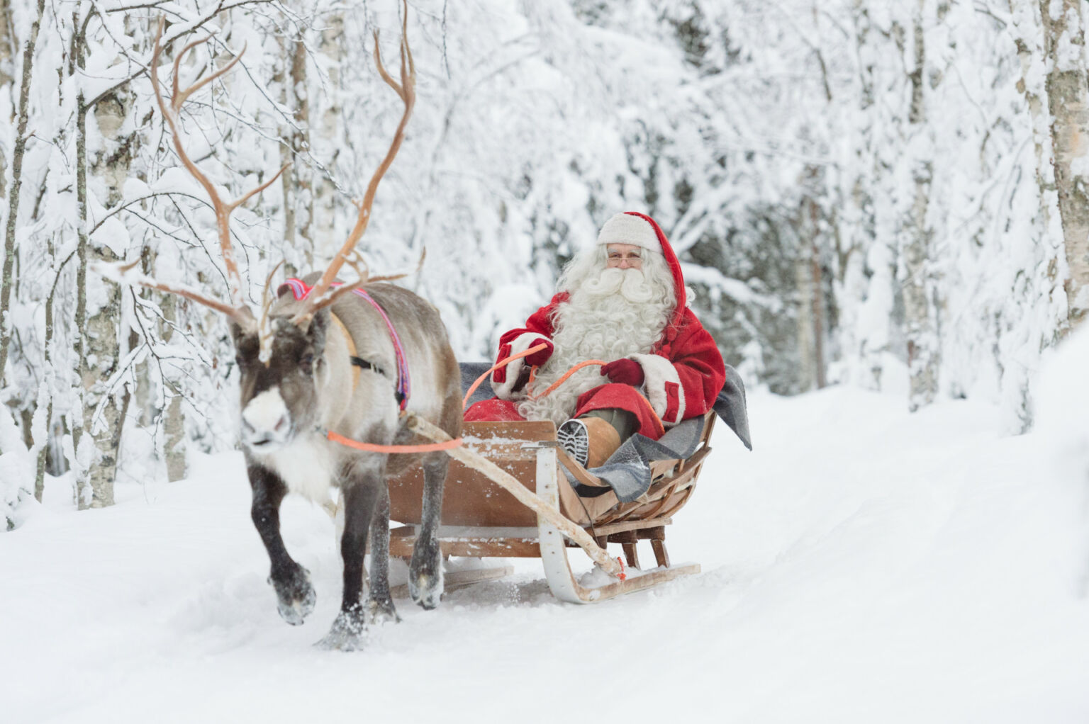 Lapland Holidays 2025 Christmas Events - Silke M. Lehrer