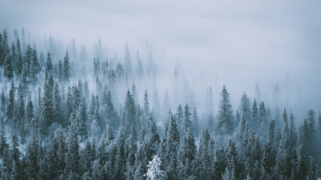 The Magical Colors Of Polar Night | Visit Finnish Lapland