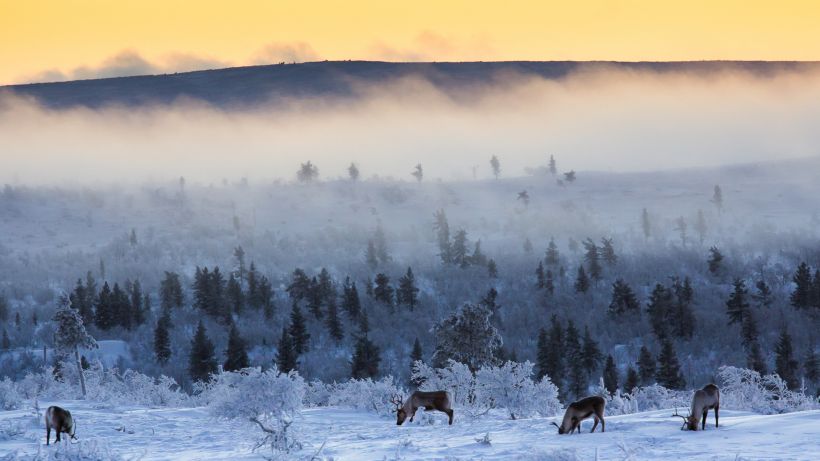 Inari-Saariselkä talvella.