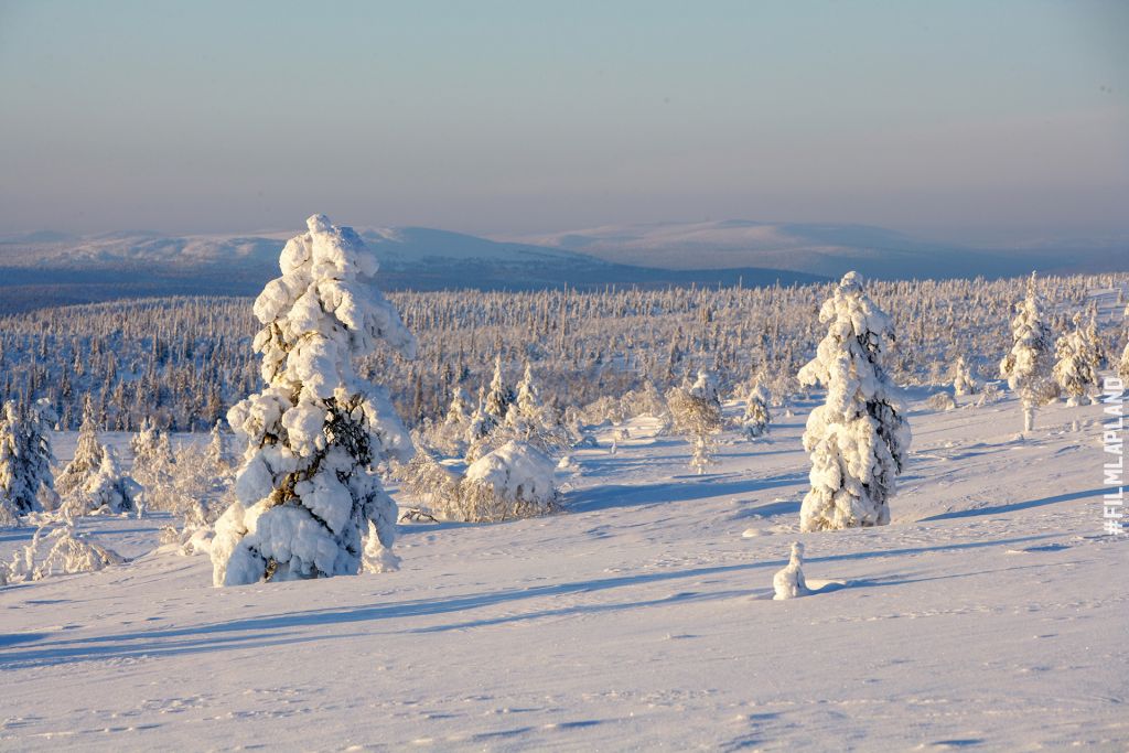 Snow | Film Lapland