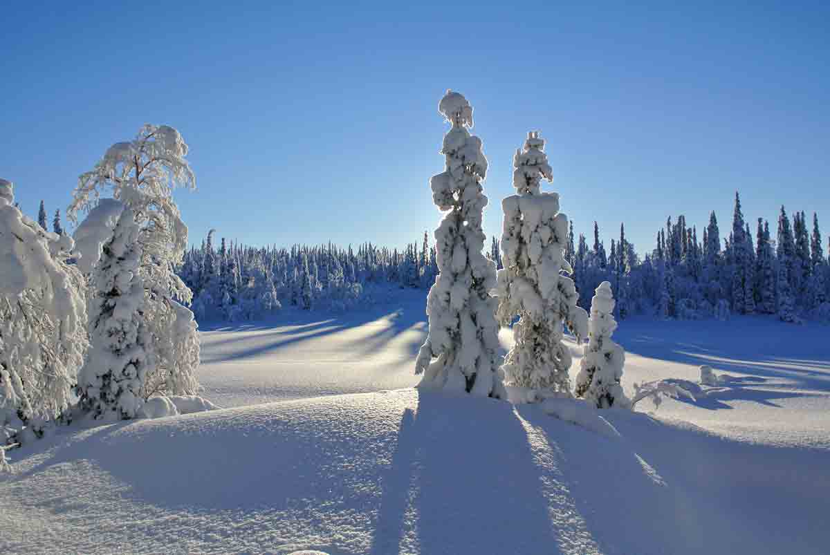 Visit unique nature destinations in Finnish Lapland | Visit Finnish Lapland