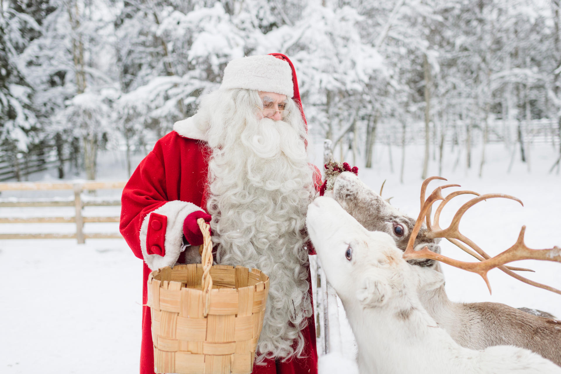 Santa Claus Reindeer Games And Sleigh Rides Visit Finnish Lapland
