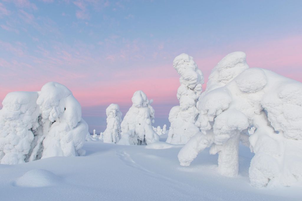 Lapland In Winter - Most Wonderful Season | Visit Finnish Lapland