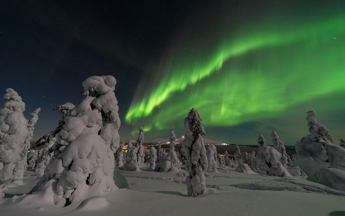 Northern Lights over snow crowned trees in Finnish Lapland in winter