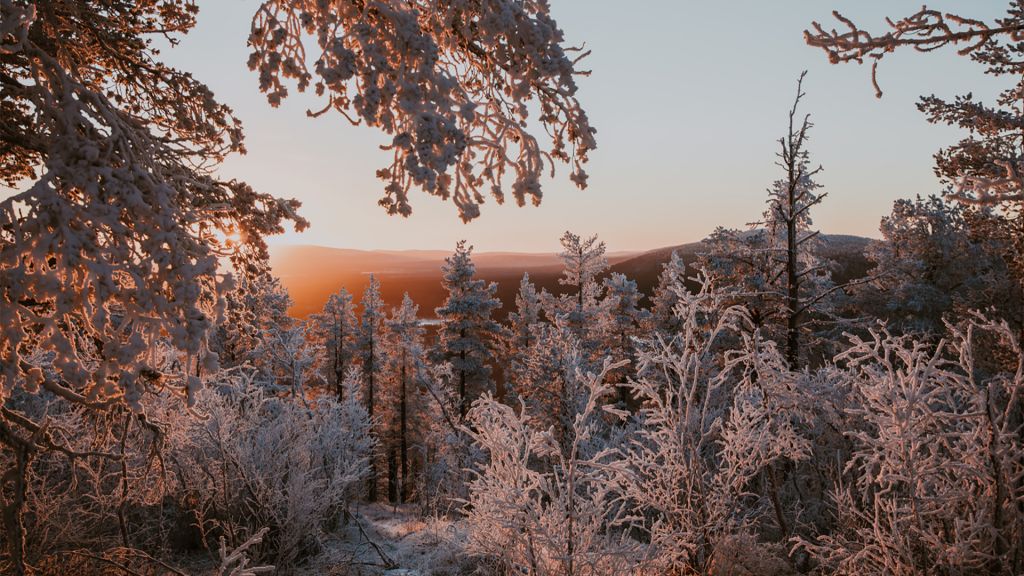 Kirsi Tasala: Capturing Winter Magic | Visit Finnish Lapland