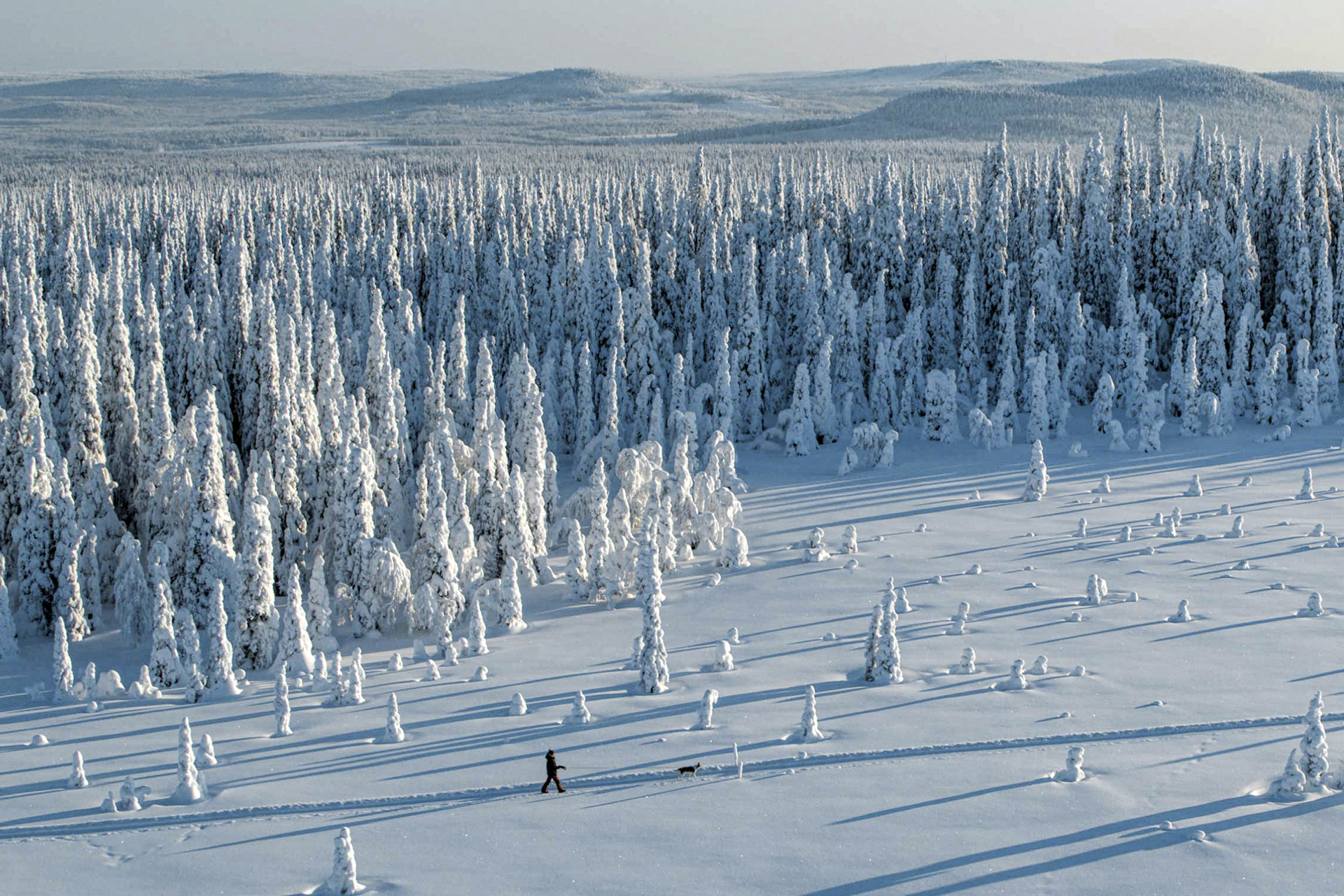 Feel the Magic of Lapland  Visit Finnish Lapland