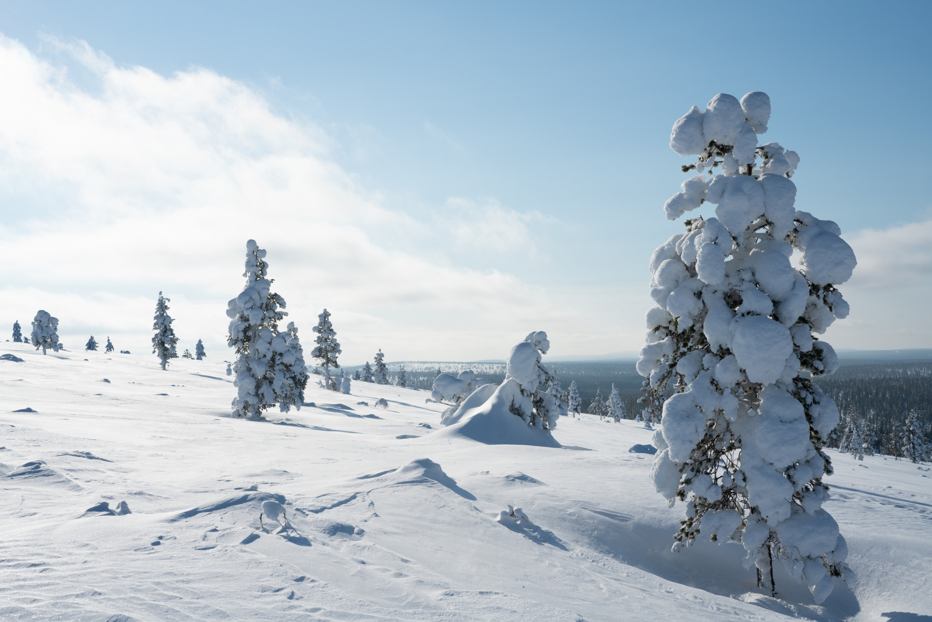 9 Reasons To Visit Lapland In Winter | Visit Finnish Lapland