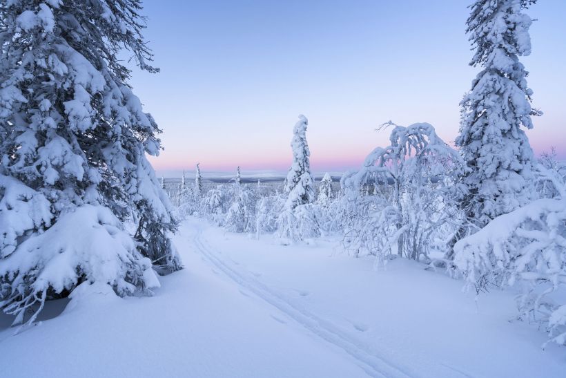 Filming Location: Wilderness (Forests, Rivers, Hills) | Film Lapland