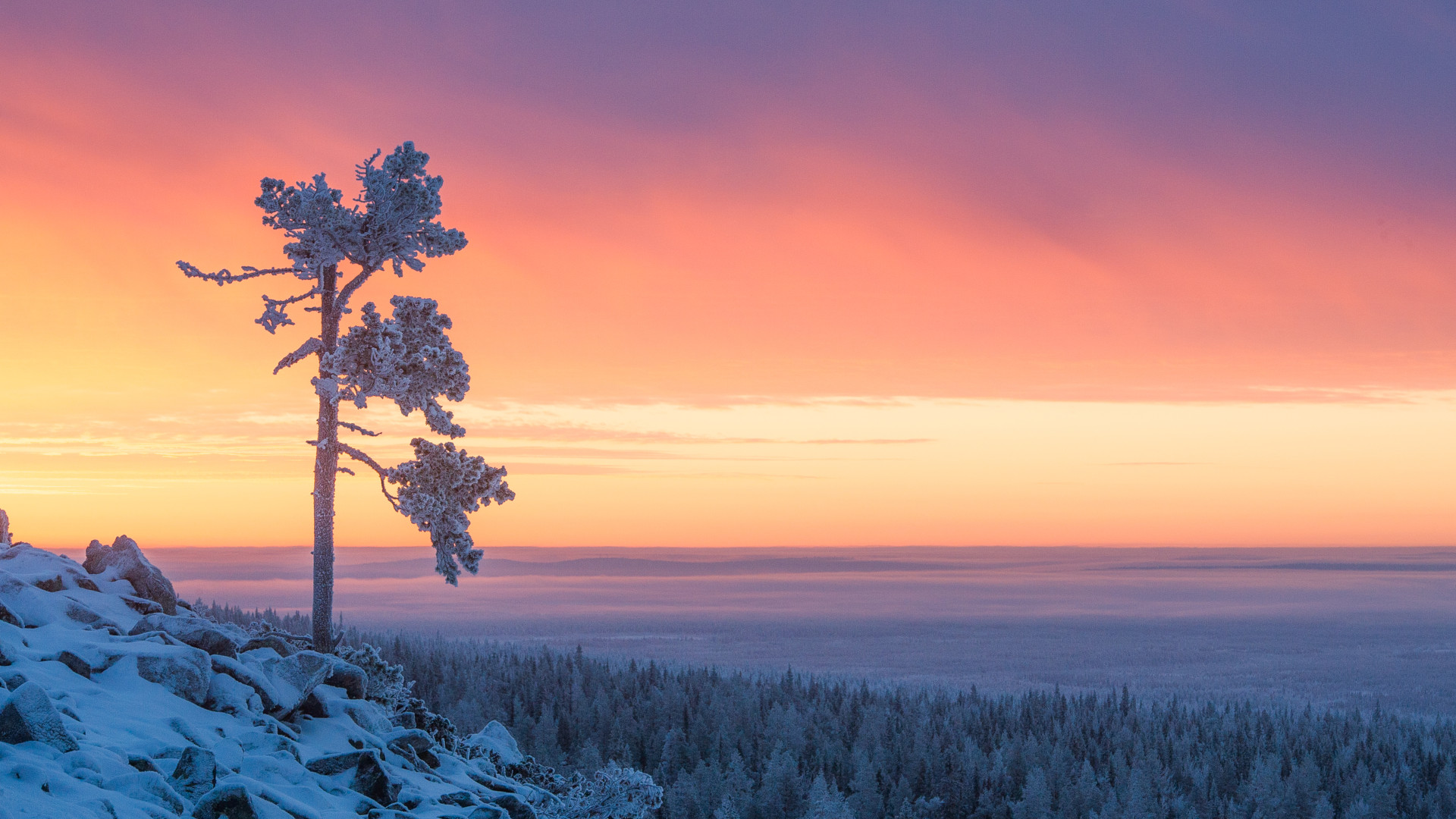 About Lapland - Wonders of Nature & More | Visit Finnish Lapland