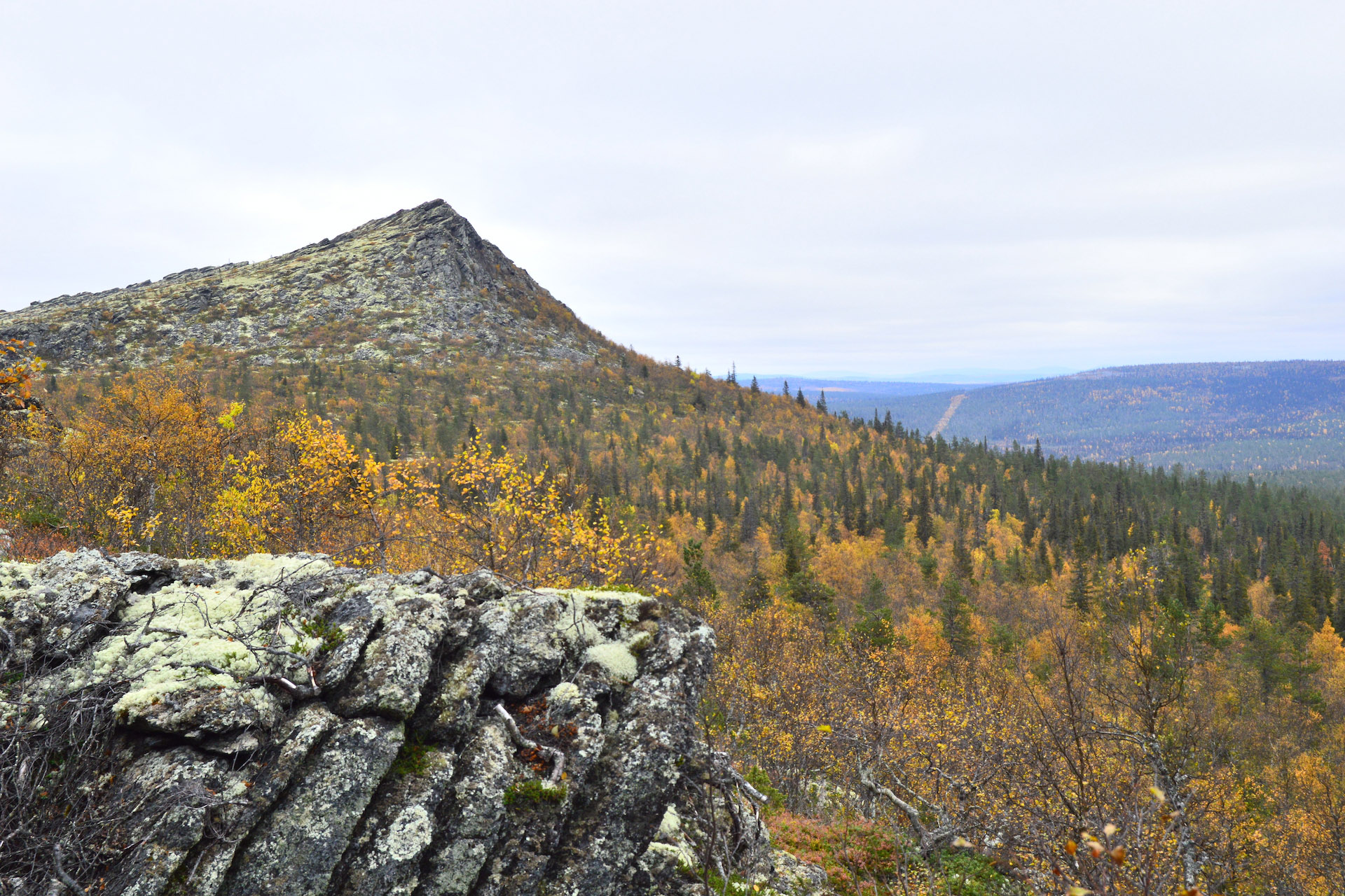 Savukoski: Filming Pure Lapland Wilderness | Film Lapland