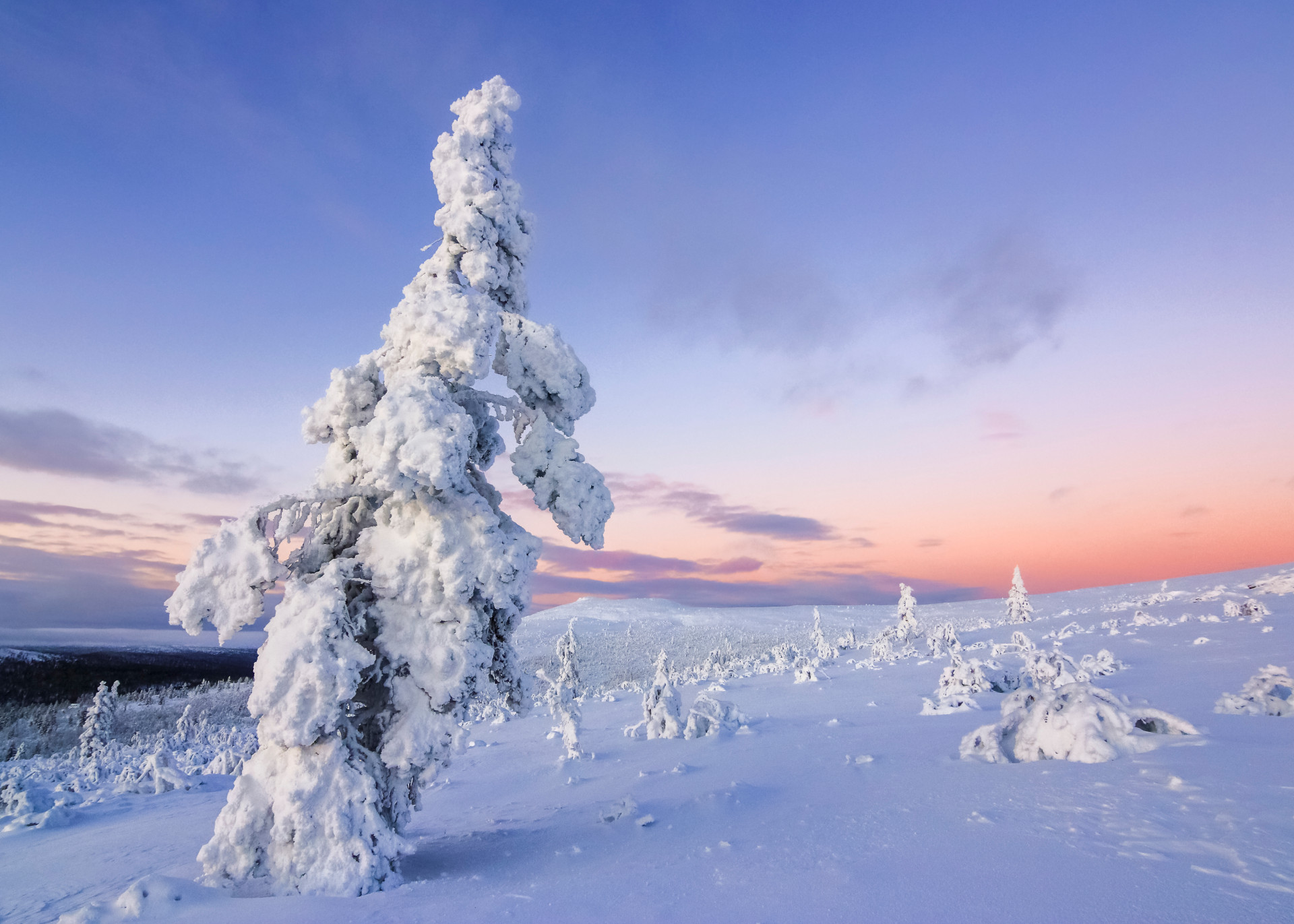 Sodankylä & Sompio - the Living Backwoods | Visit Finnish Lapland