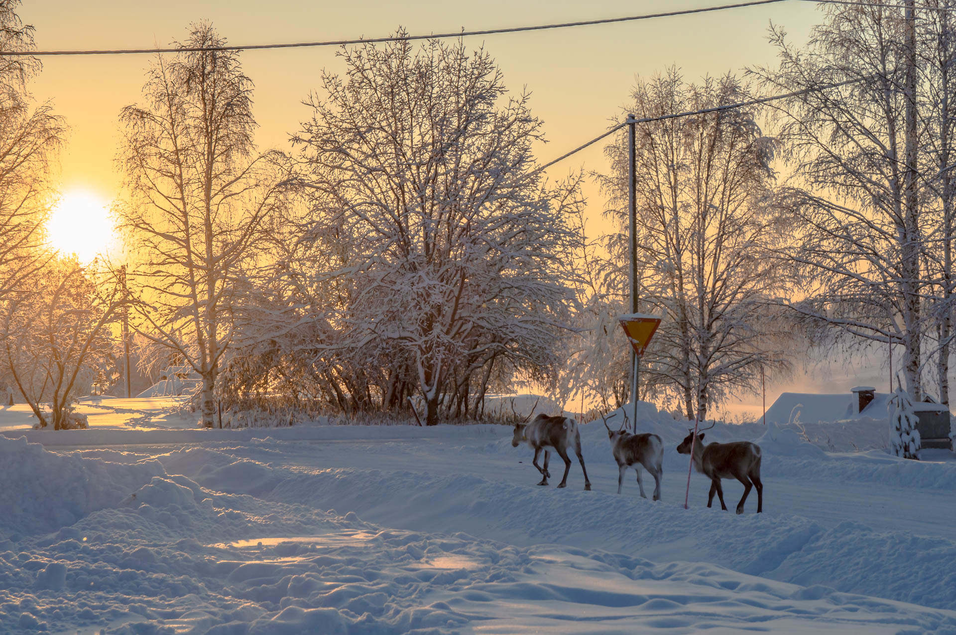 Savukoski & Korvatunturi - Arctic Wilderness | Visit Finnish Lapland