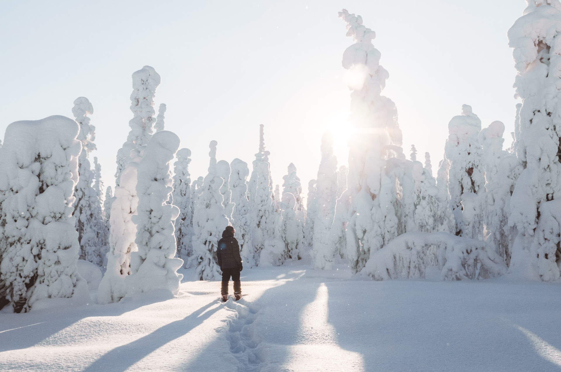 Filming Location: Snow in Lapland | Film Lapland