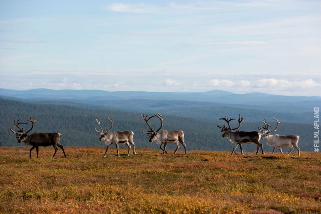 Filming Location: Culture in Northern Finland | Film Lapland